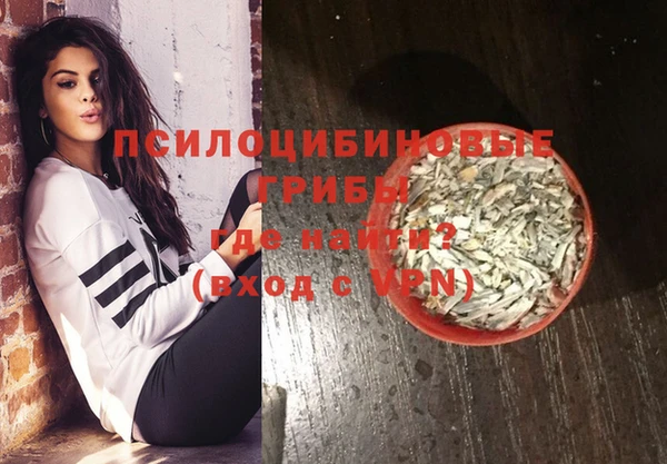 молекула духа Богородск