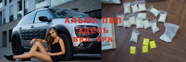 молекула духа Богородск