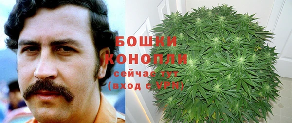 мяу мяу мука Богданович