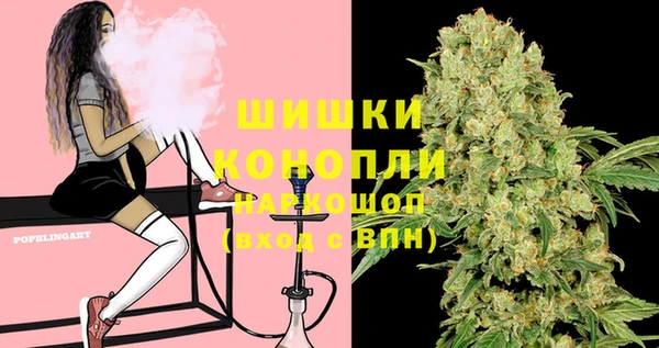 молекула духа Богородск