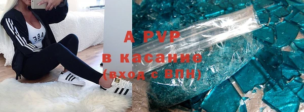 мяу мяу мука Богданович