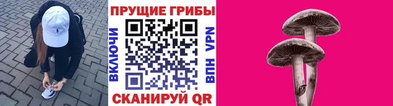Галлюциногенные грибы прущие грибы  блэк спрут ссылки  Павловск 
